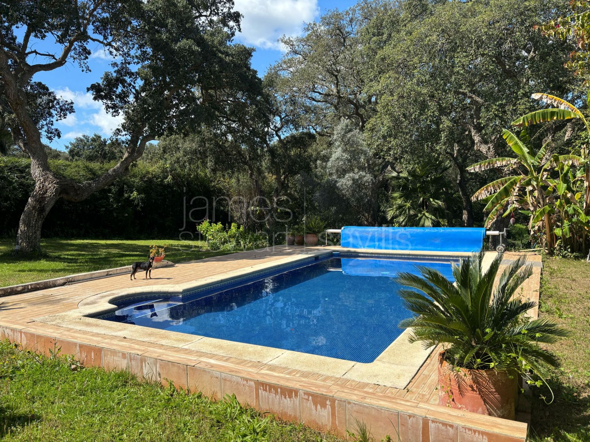 Villa for Sale in Sotogrande Central