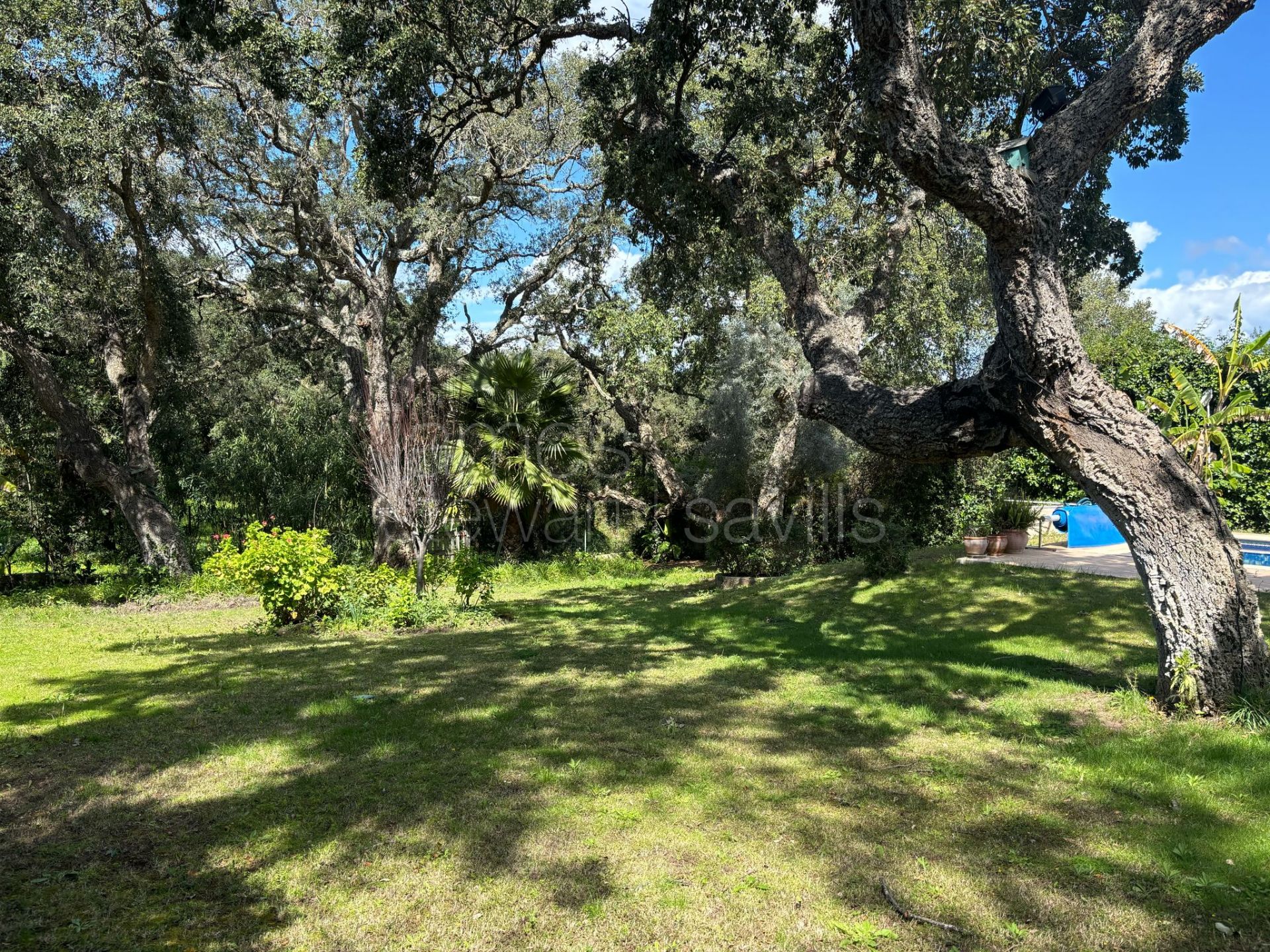 Villa for Sale in Sotogrande Central