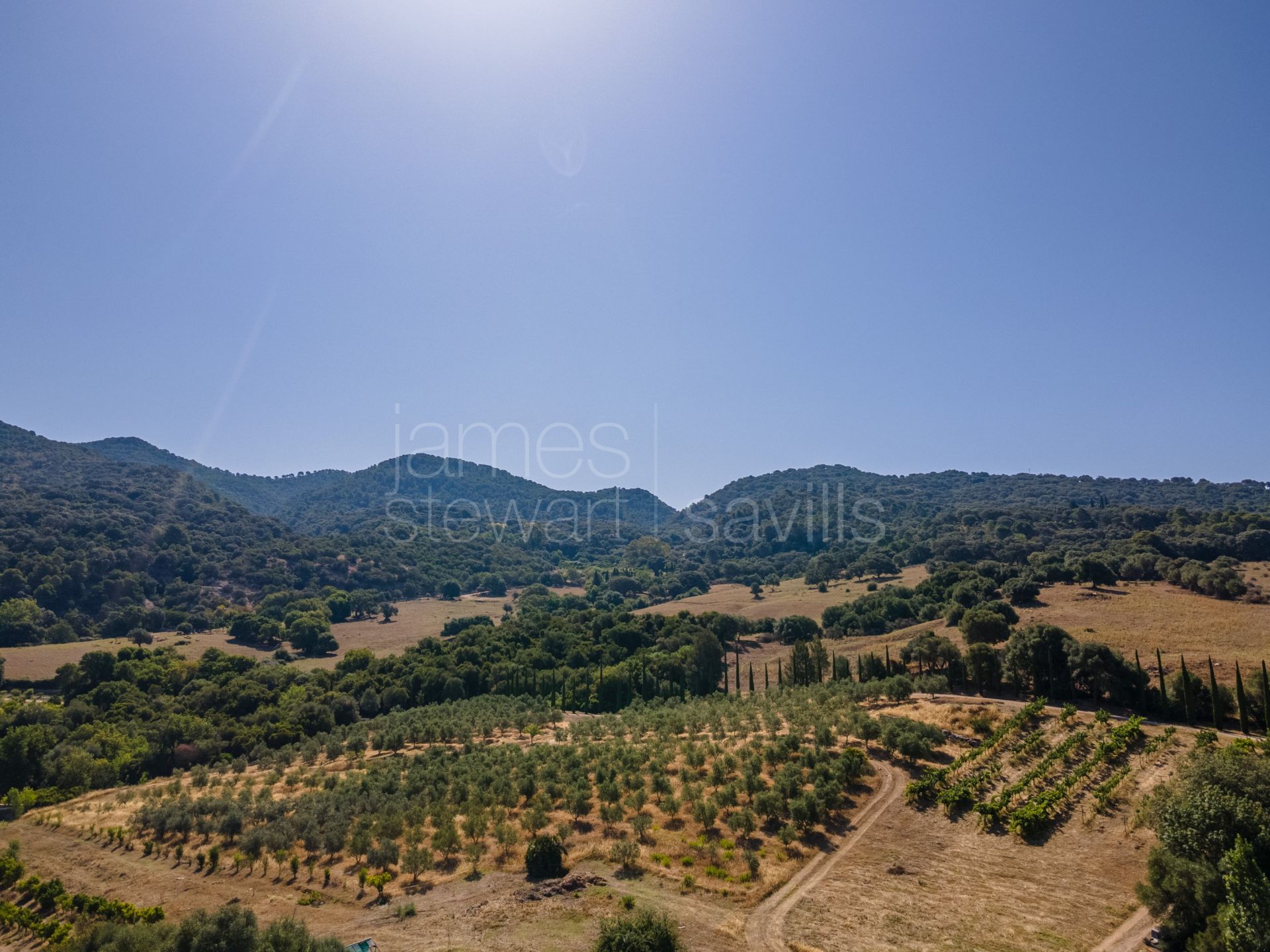 Bonito Cortijo con Casa de Invitados, Olivar y Vistas Panorámicas cerca de Gaucín