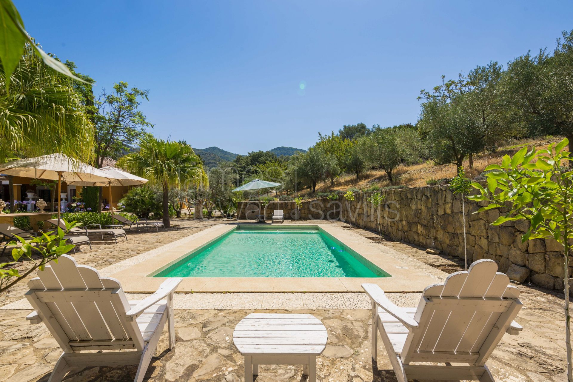 Bonito Cortijo con Casa de Invitados, Olivar y Vistas Panorámicas cerca de Gaucín