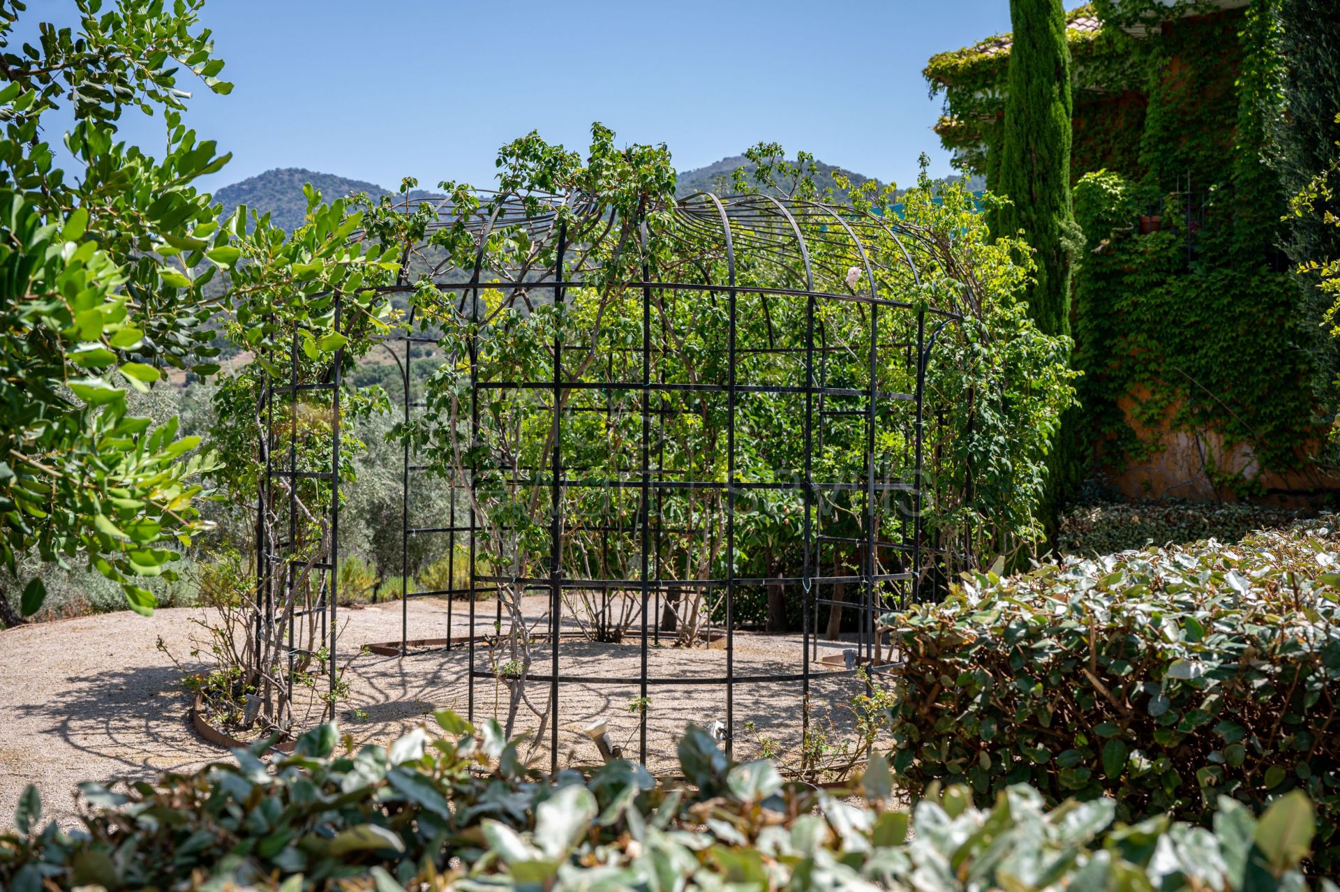 Bonito Cortijo con Casa de Invitados, Olivar y Vistas Panorámicas cerca de Gaucín