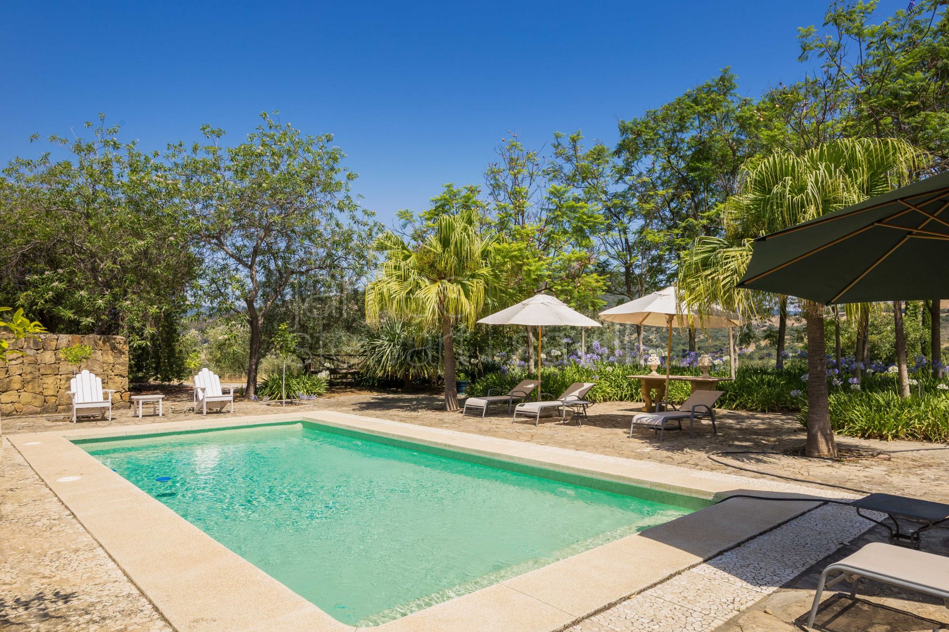 Bonito Cortijo con Casa de Invitados, Olivar y Vistas Panorámicas cerca de Gaucín