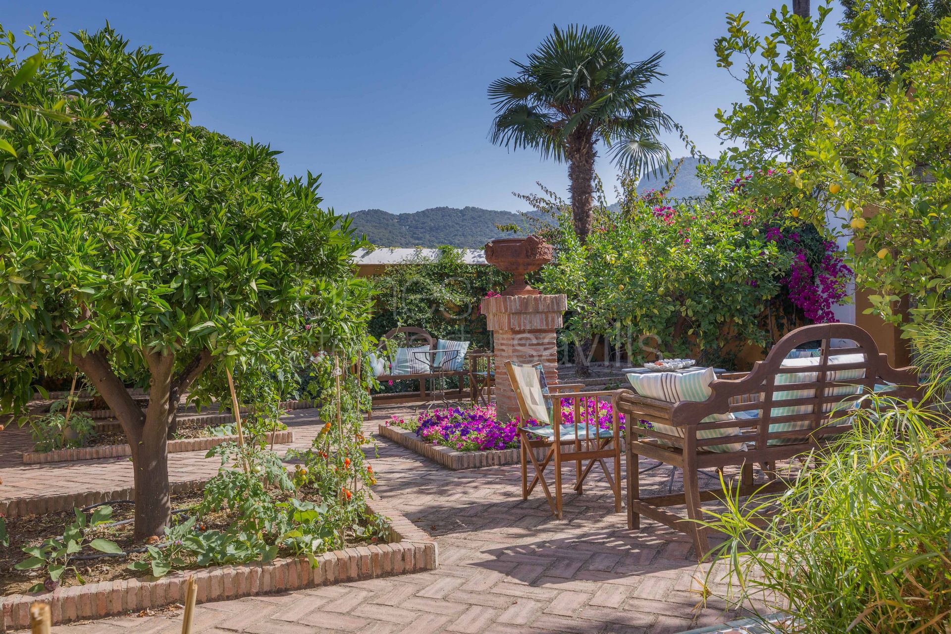 Bonito Cortijo con Casa de Invitados, Olivar y Vistas Panorámicas cerca de Gaucín