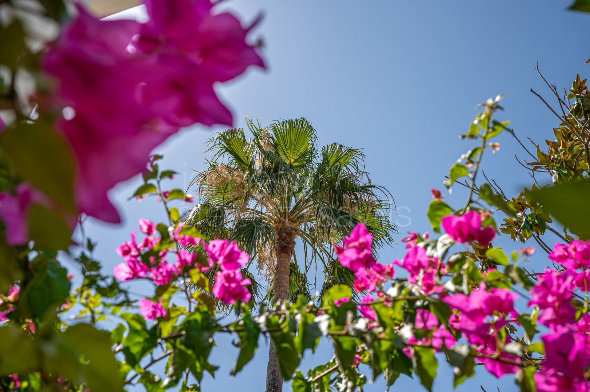 Bonito Cortijo con Casa de Invitados, Olivar y Vistas Panorámicas cerca de Gaucín