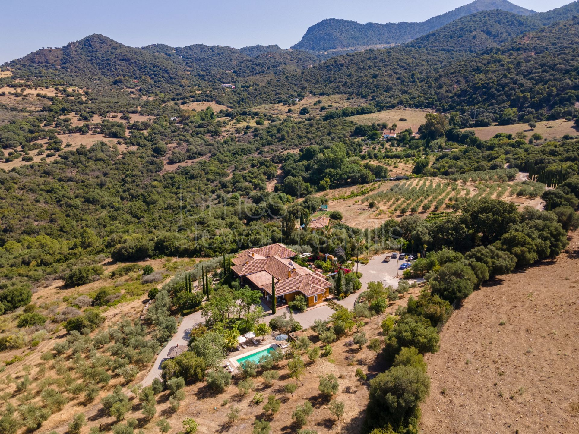 Bonito Cortijo con Casa de Invitados, Olivar y Vistas Panorámicas cerca de Gaucín