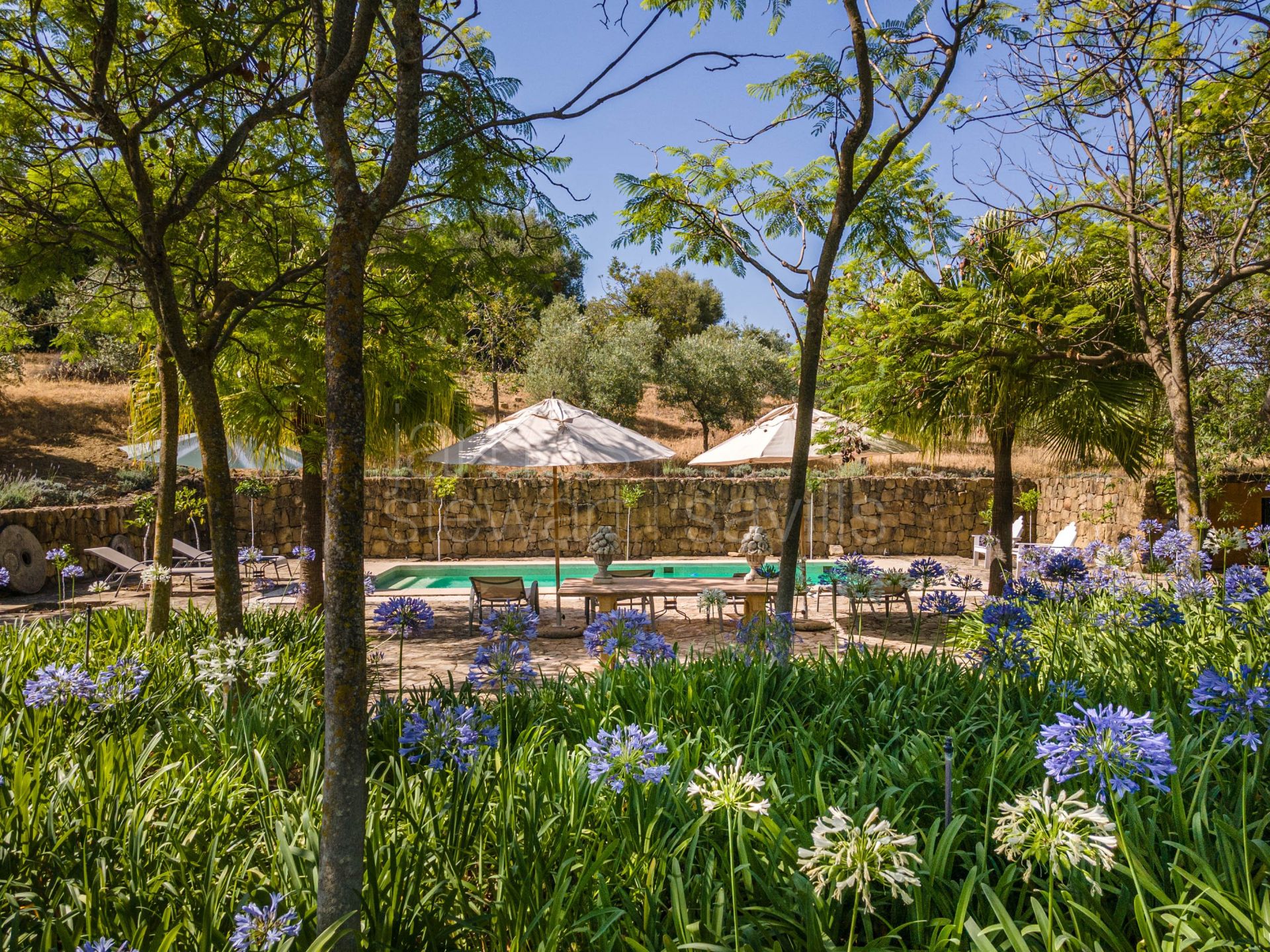 Bonito Cortijo con Casa de Invitados, Olivar y Vistas Panorámicas cerca de Gaucín