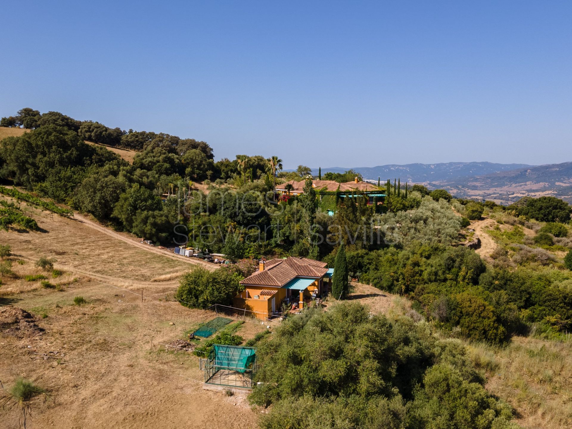 Bonito Cortijo con Casa de Invitados, Olivar y Vistas Panorámicas cerca de Gaucín