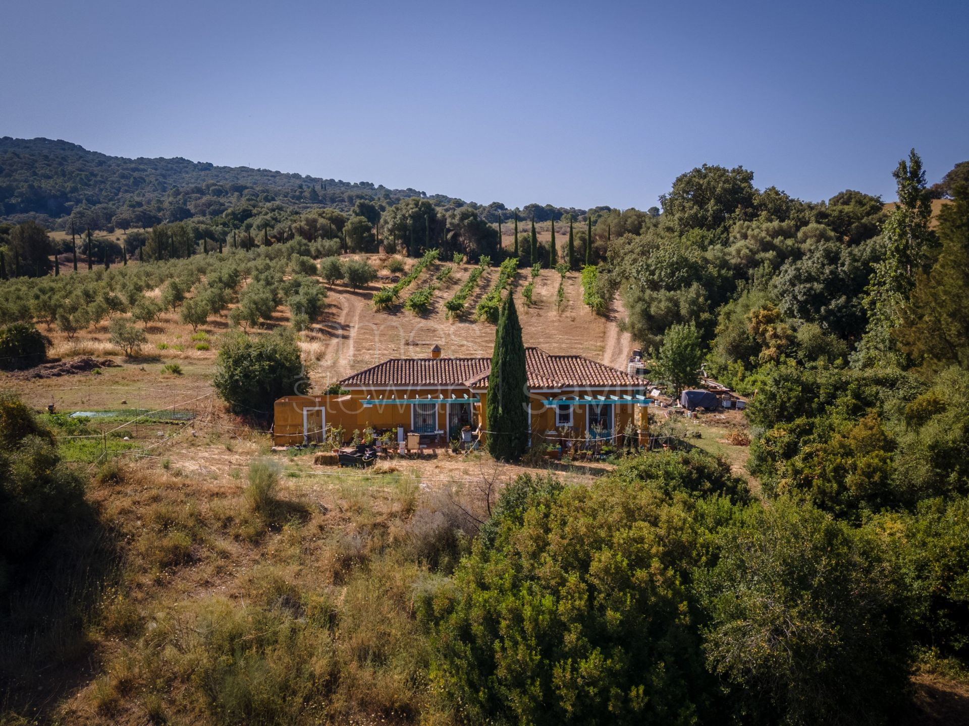 Bonito Cortijo con Casa de Invitados, Olivar y Vistas Panorámicas cerca de Gaucín
