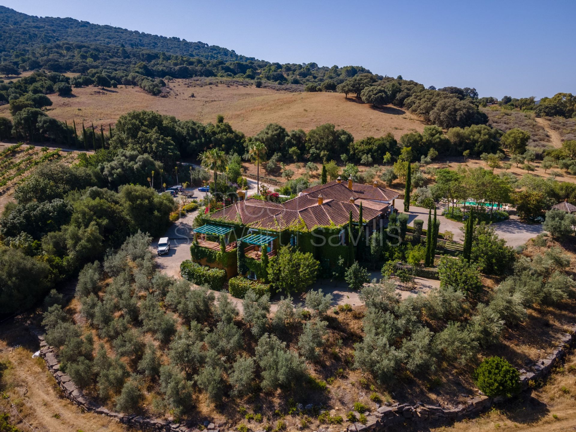 Bonito Cortijo con Casa de Invitados, Olivar y Vistas Panorámicas cerca de Gaucín