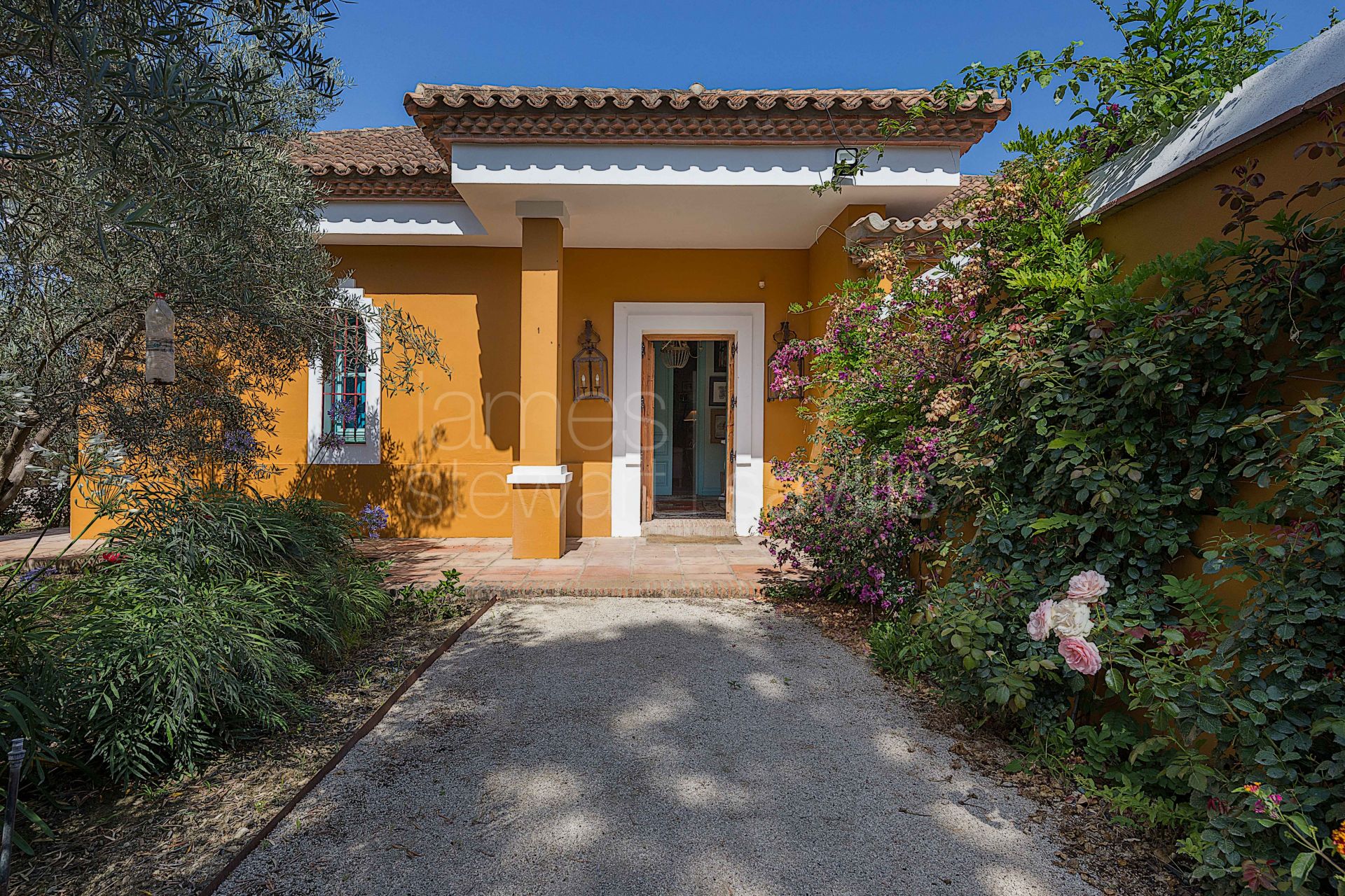 Bonito Cortijo con Casa de Invitados, Olivar y Vistas Panorámicas cerca de Gaucín