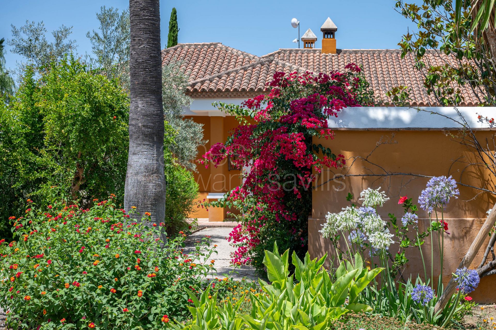 Bonito Cortijo con Casa de Invitados, Olivar y Vistas Panorámicas cerca de Gaucín