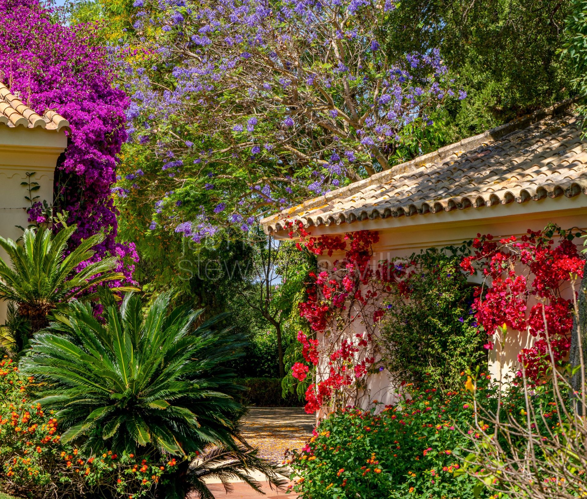 Absolutely charming Andalusian cortijo in Sotogrande Costa minutes from the beach