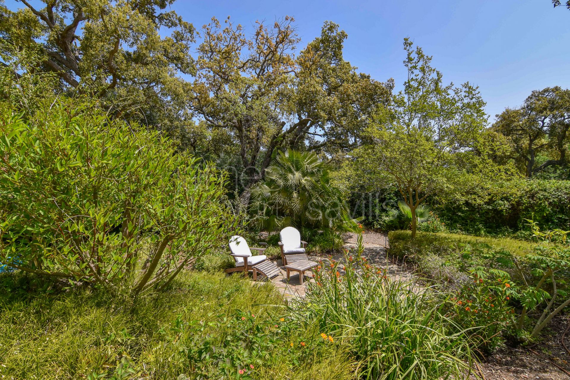 Absolutely charming Andalusian cortijo in Sotogrande Costa minutes from the beach