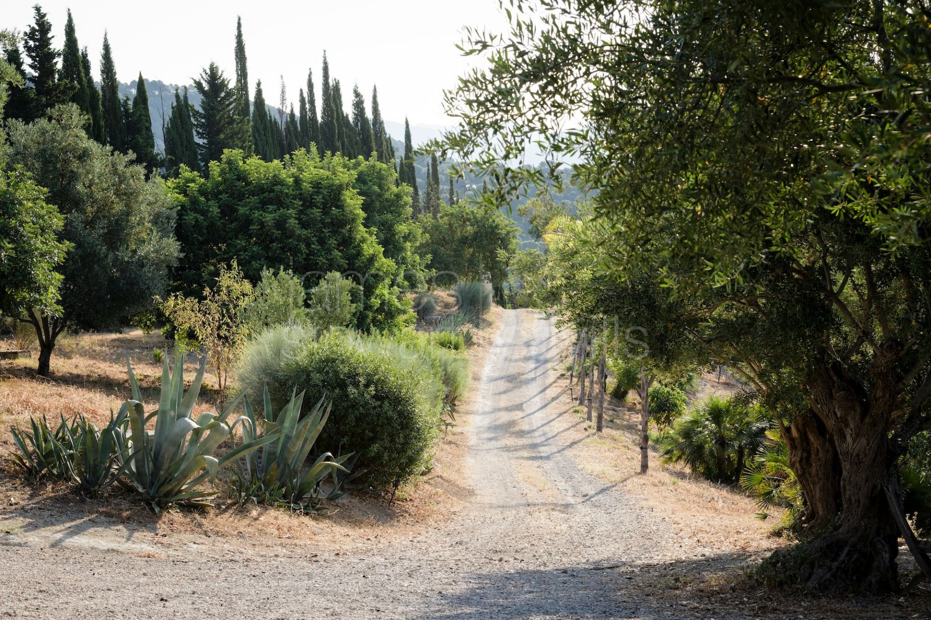 Finca en Venta en Gaucín | Piscina, 7 Dormitorios, EPC A