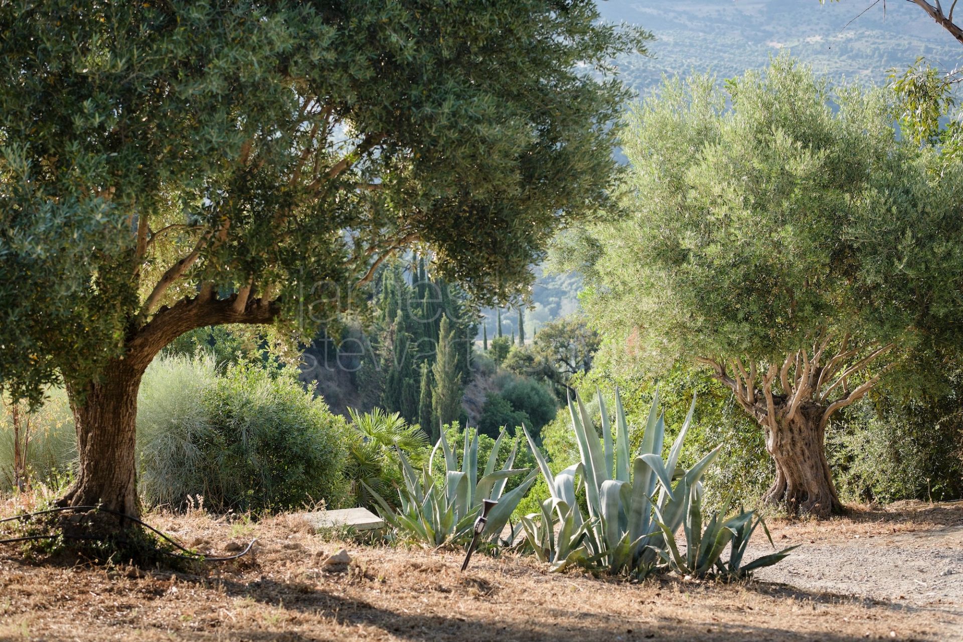 Finca en Venta en Gaucín | Piscina, 7 Dormitorios, EPC A