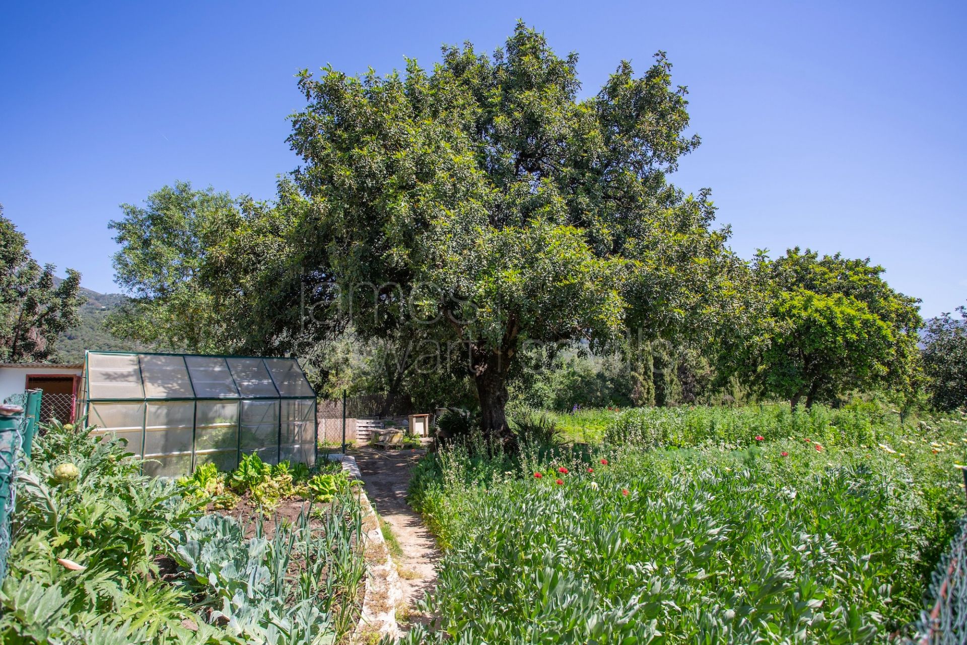 Finca en Venta en Gaucín | Piscina, 7 Dormitorios, EPC A