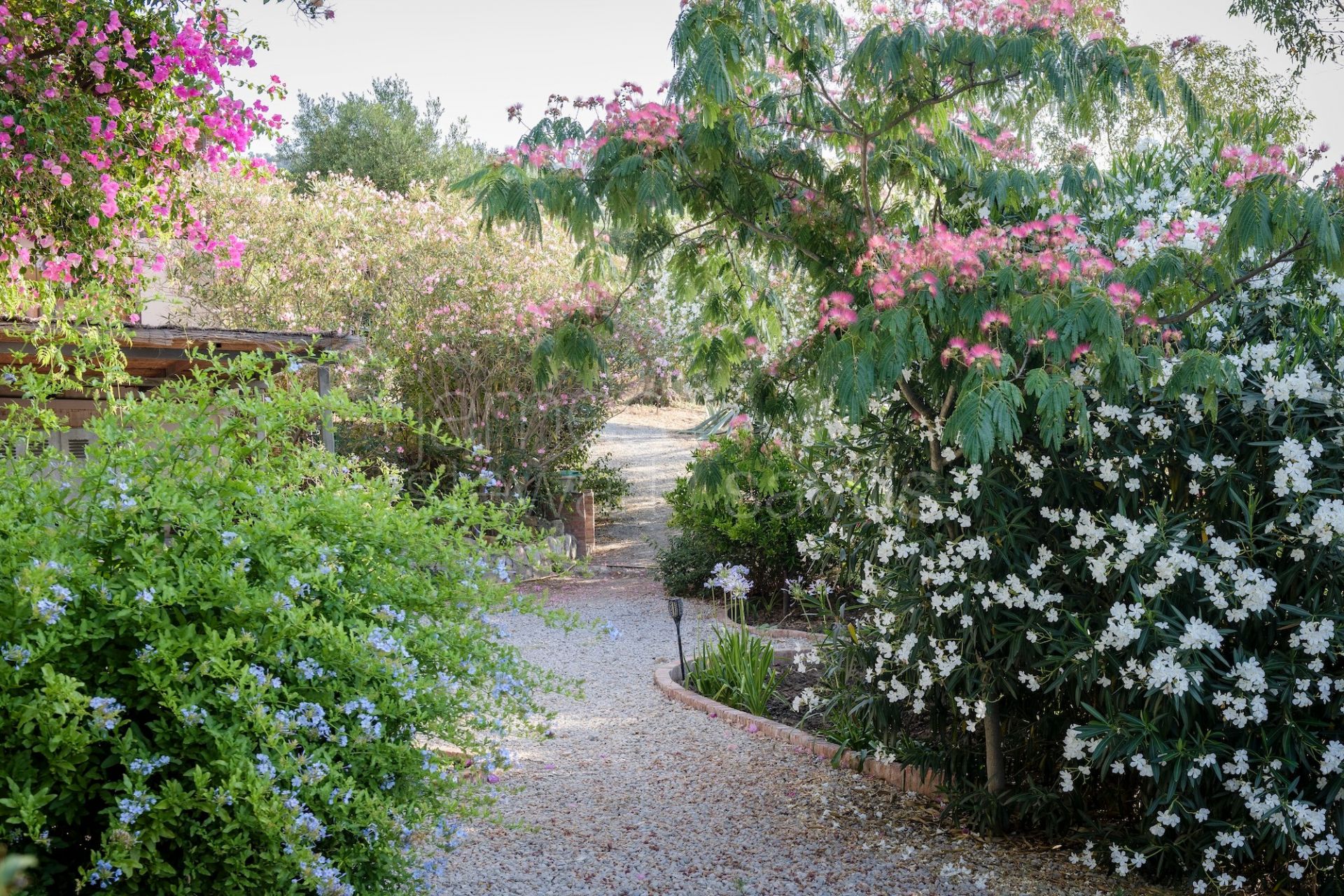 Finca en Venta en Gaucín | Piscina, 7 Dormitorios, EPC A