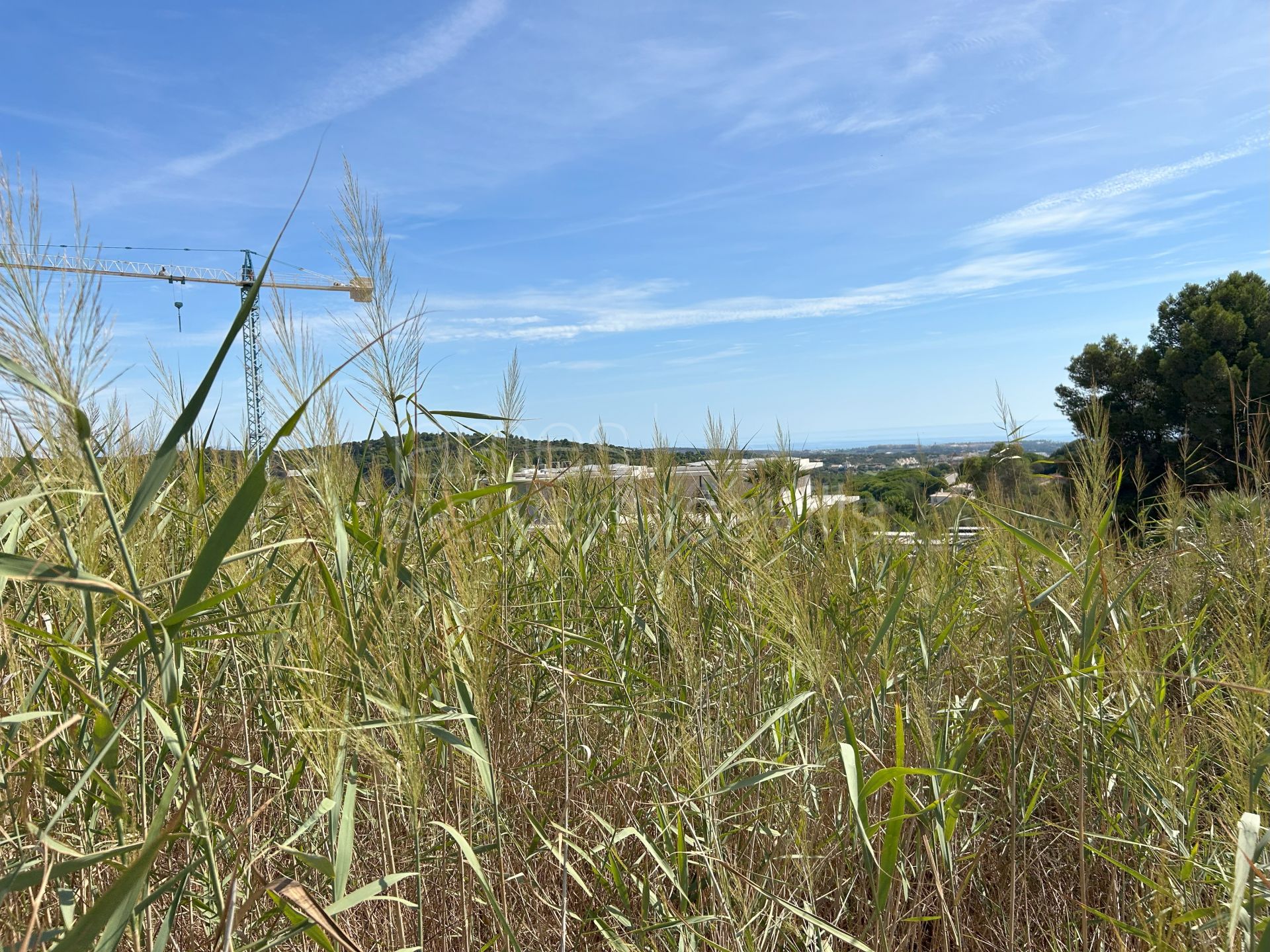 Parcela orientada al sur en venta en La Reserva de Sotogrande con vistas al mar y al golf