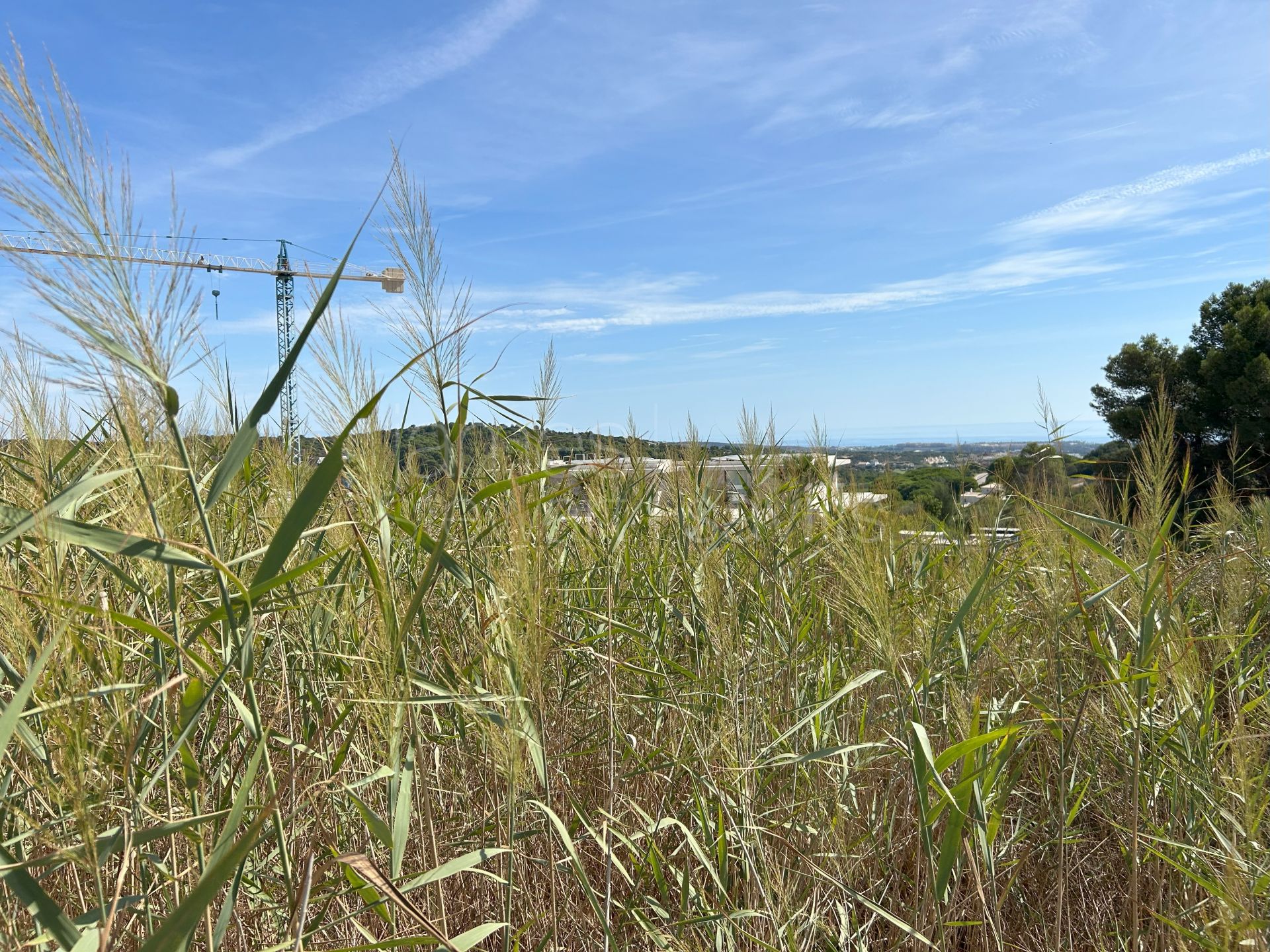 Parcela orientada al sur en venta en La Reserva de Sotogrande con vistas al mar y al golf