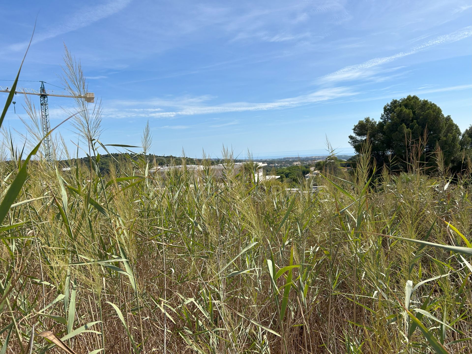 Parcela orientada al sur en venta en La Reserva de Sotogrande con vistas al mar y al golf