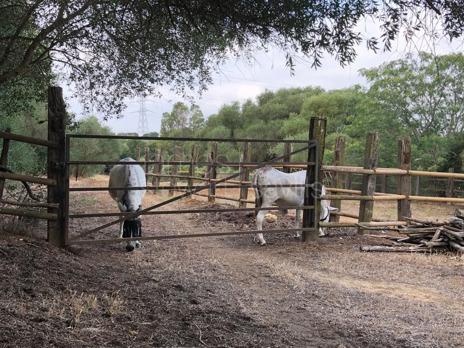 Fantastic country house with stables on nearly 8 acres of land only 10 mins from the coast