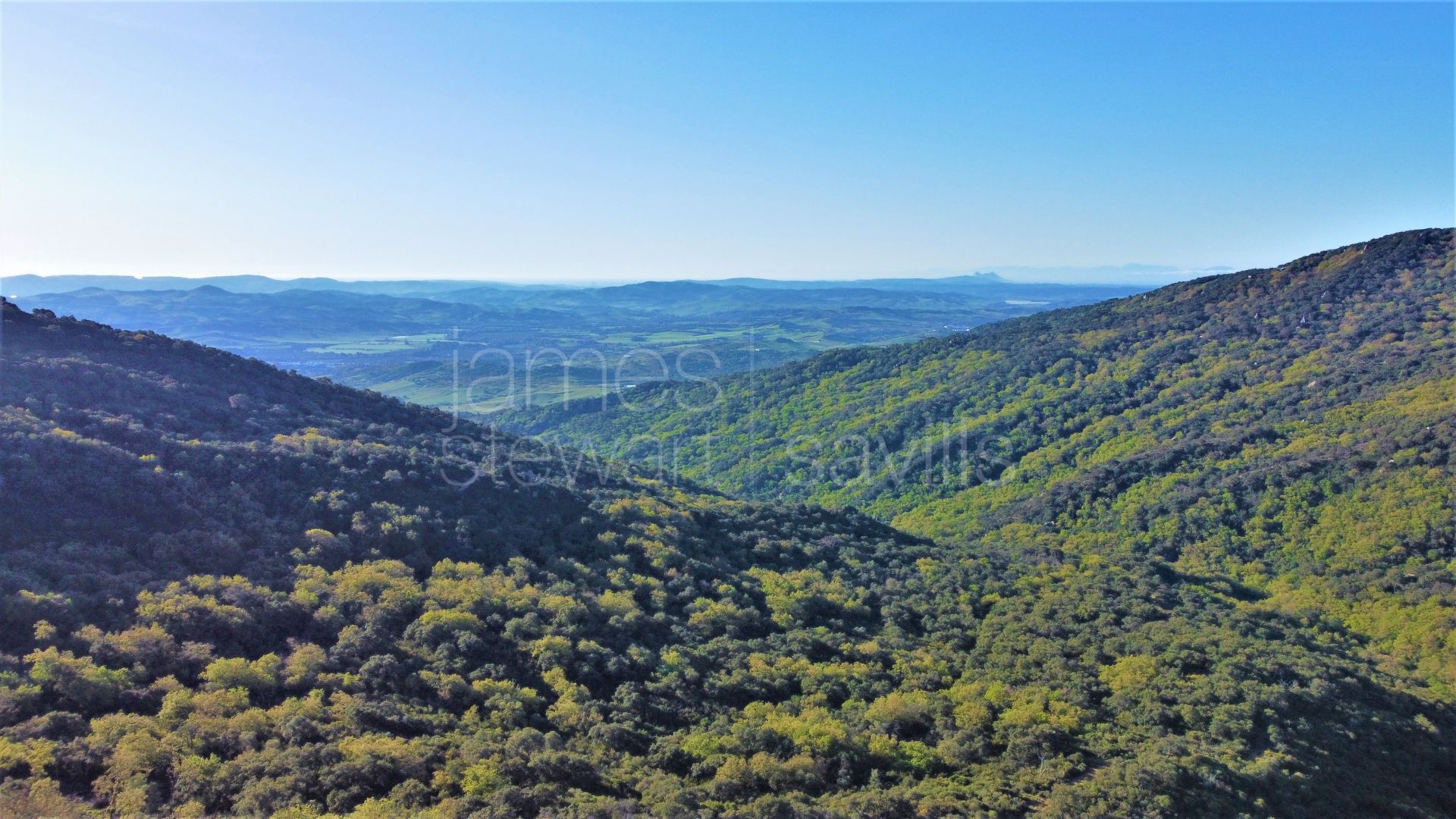 Stunning 840 hectares hunting estate in the Alcornocales National Park, Jimena de la Frontera.