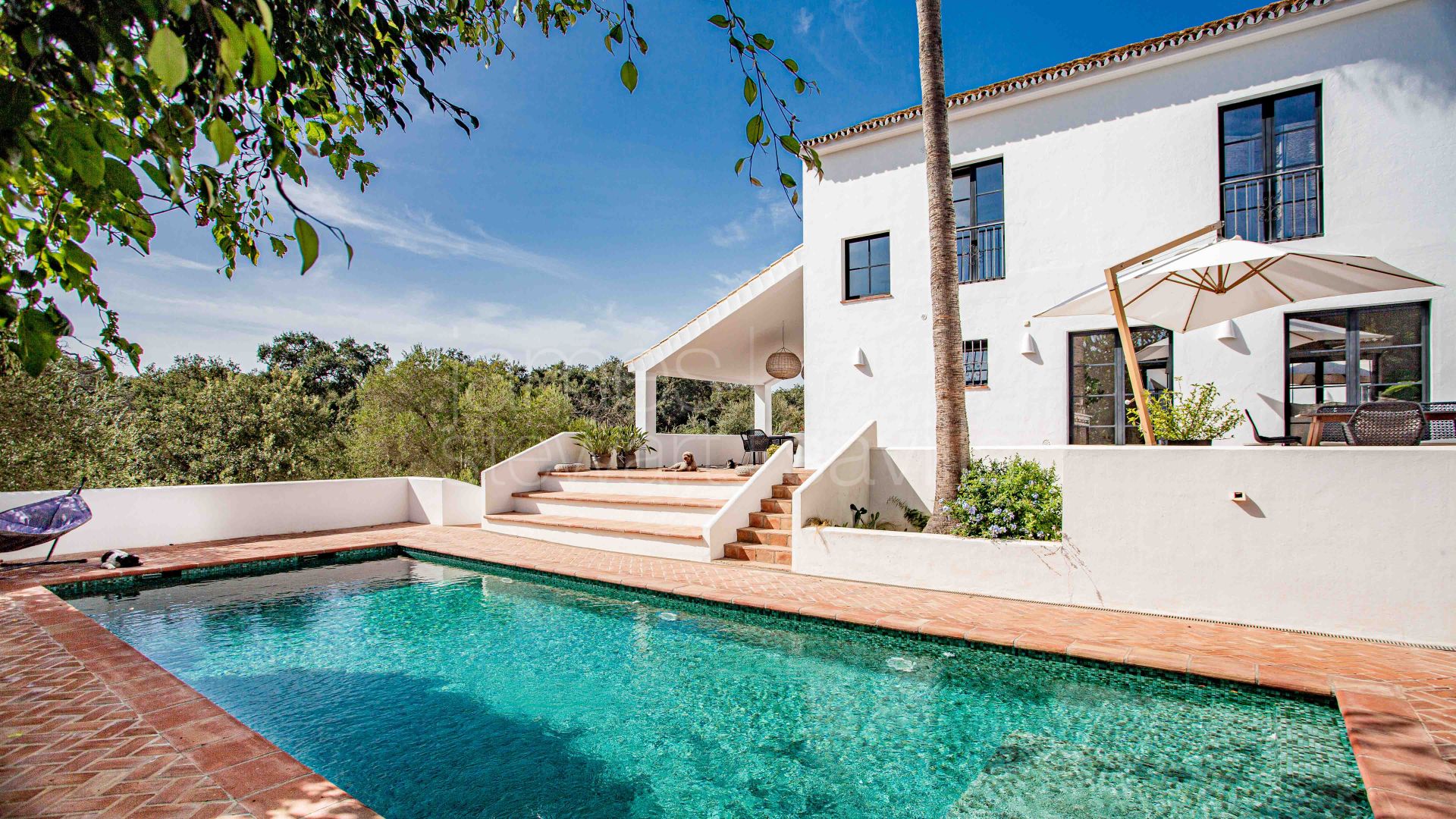 Beautifully renovated villa on the Paseo del Parque - a short walk from the beach