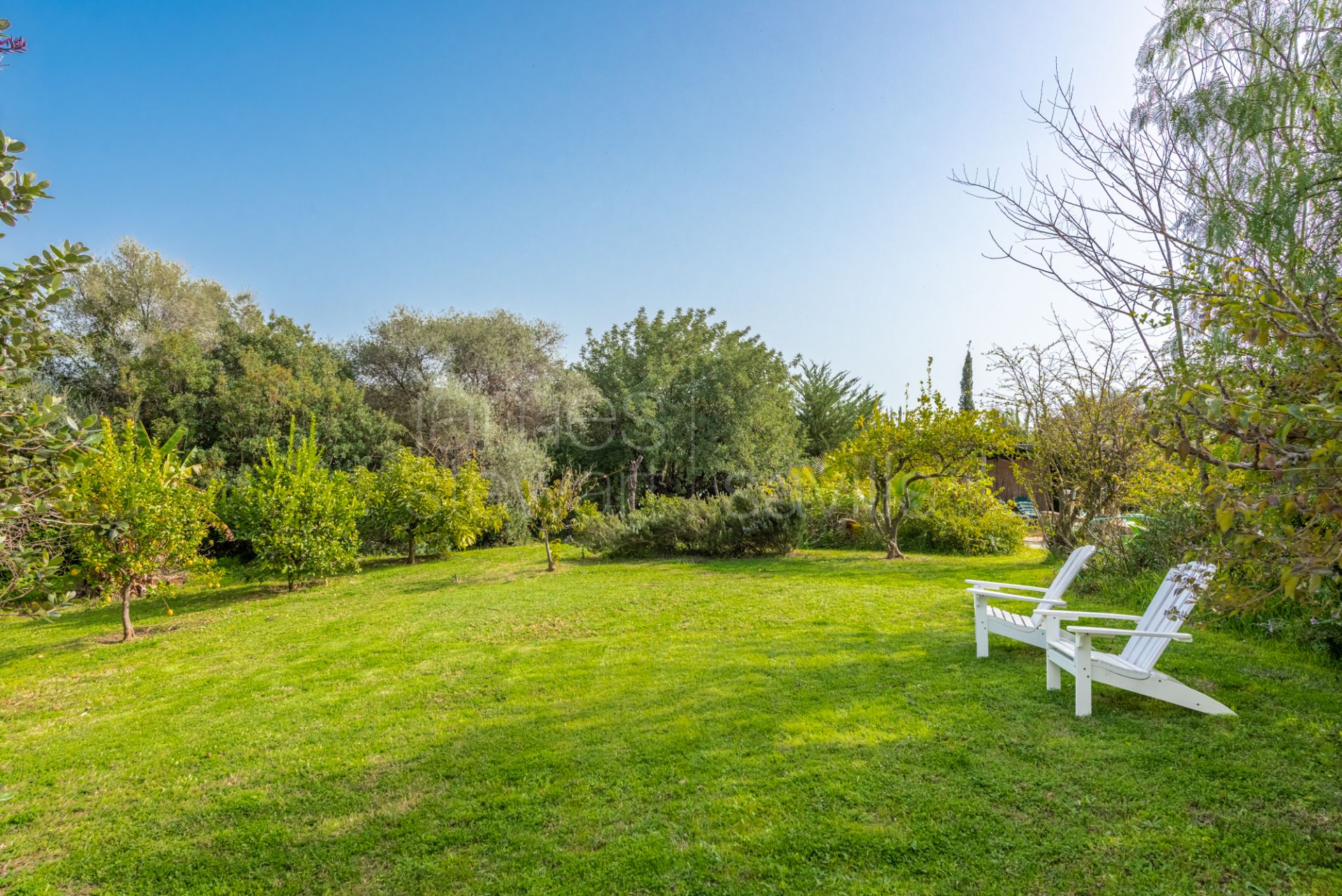 The perfect country retreat on the edge of a national park only 35 minutes from the coast