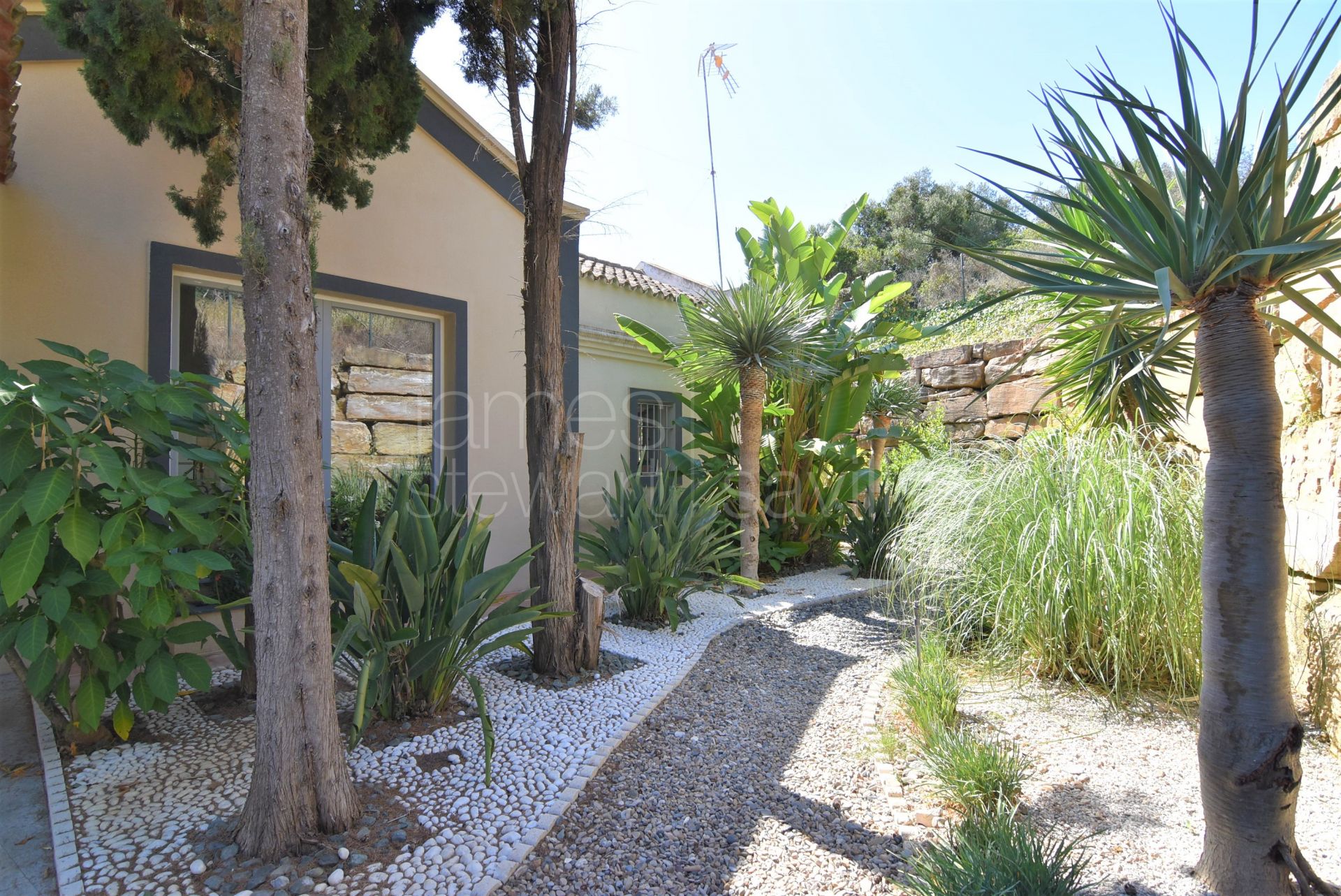 A lovely family home close to Real Valderrama GC with mature gardens and separate apartment