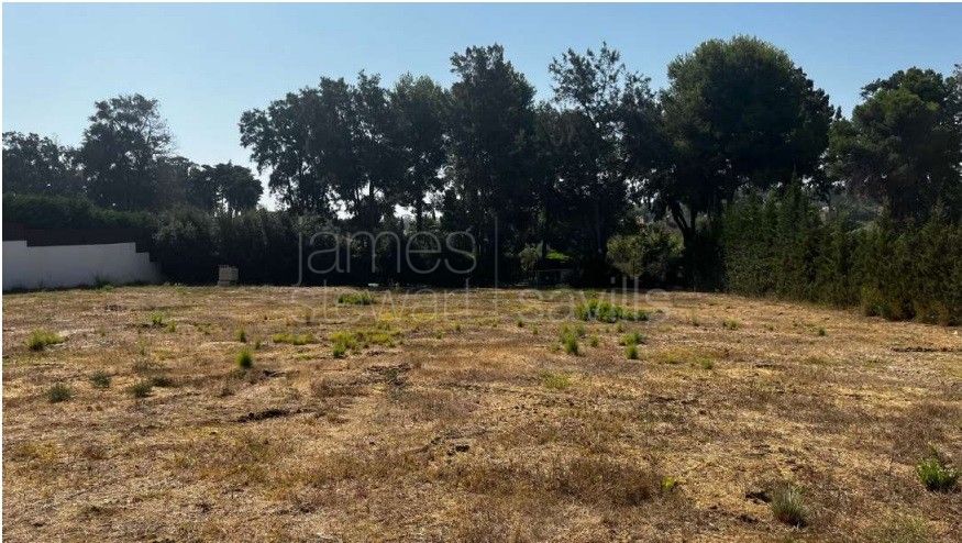 South-Facing Plot with Bespoke One-Story Villa Project in Kings & Queens, Sotogrande