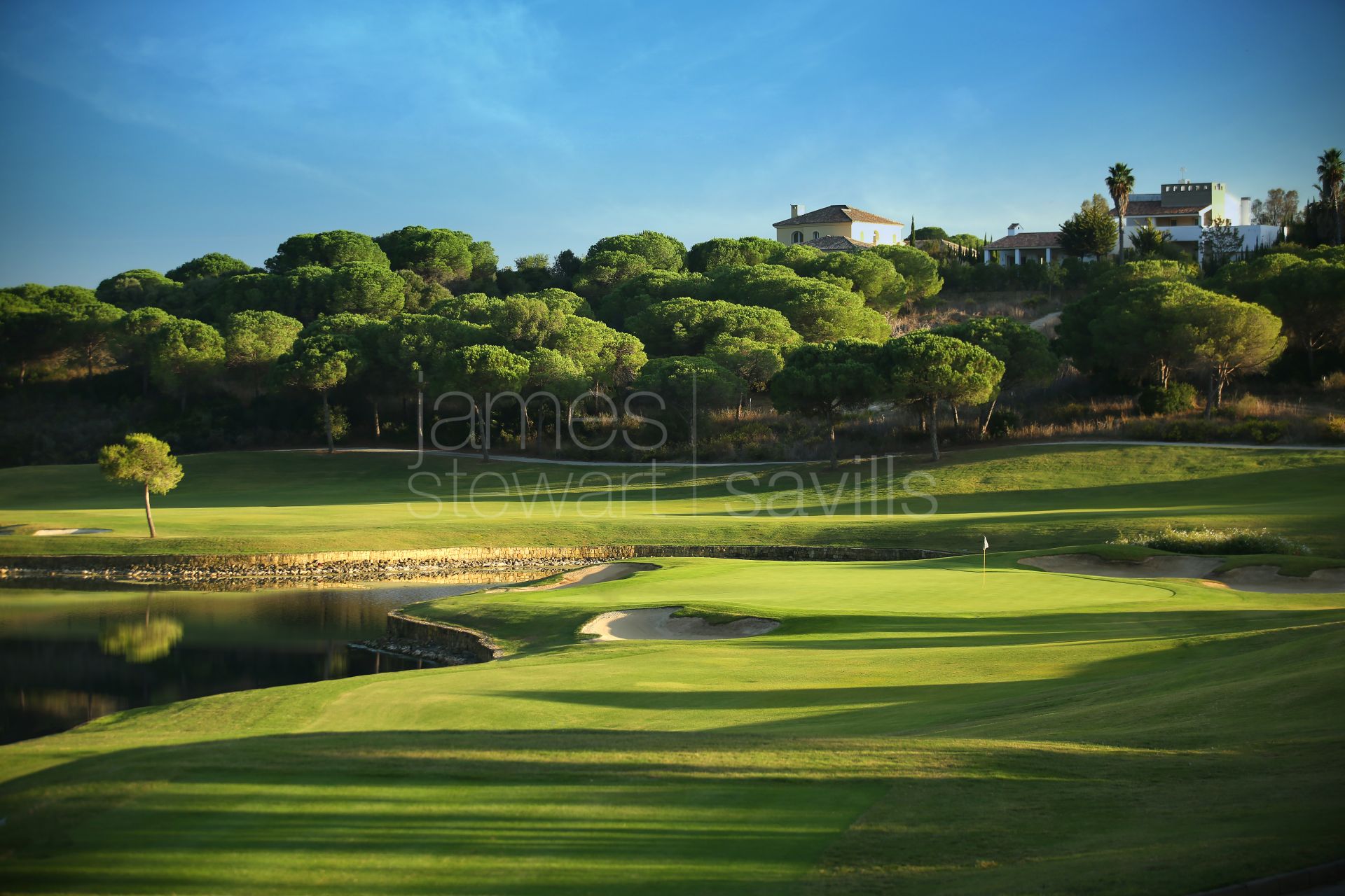 Parcela en Primera Línea de Golf en La Reserva, Sotogrande