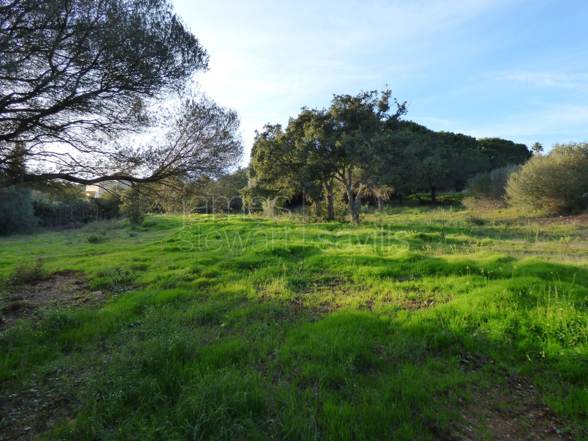 2 parcelas contiguas en cul-de-sac en primera línea del campo de golf Real Valderrama, Sotogrande