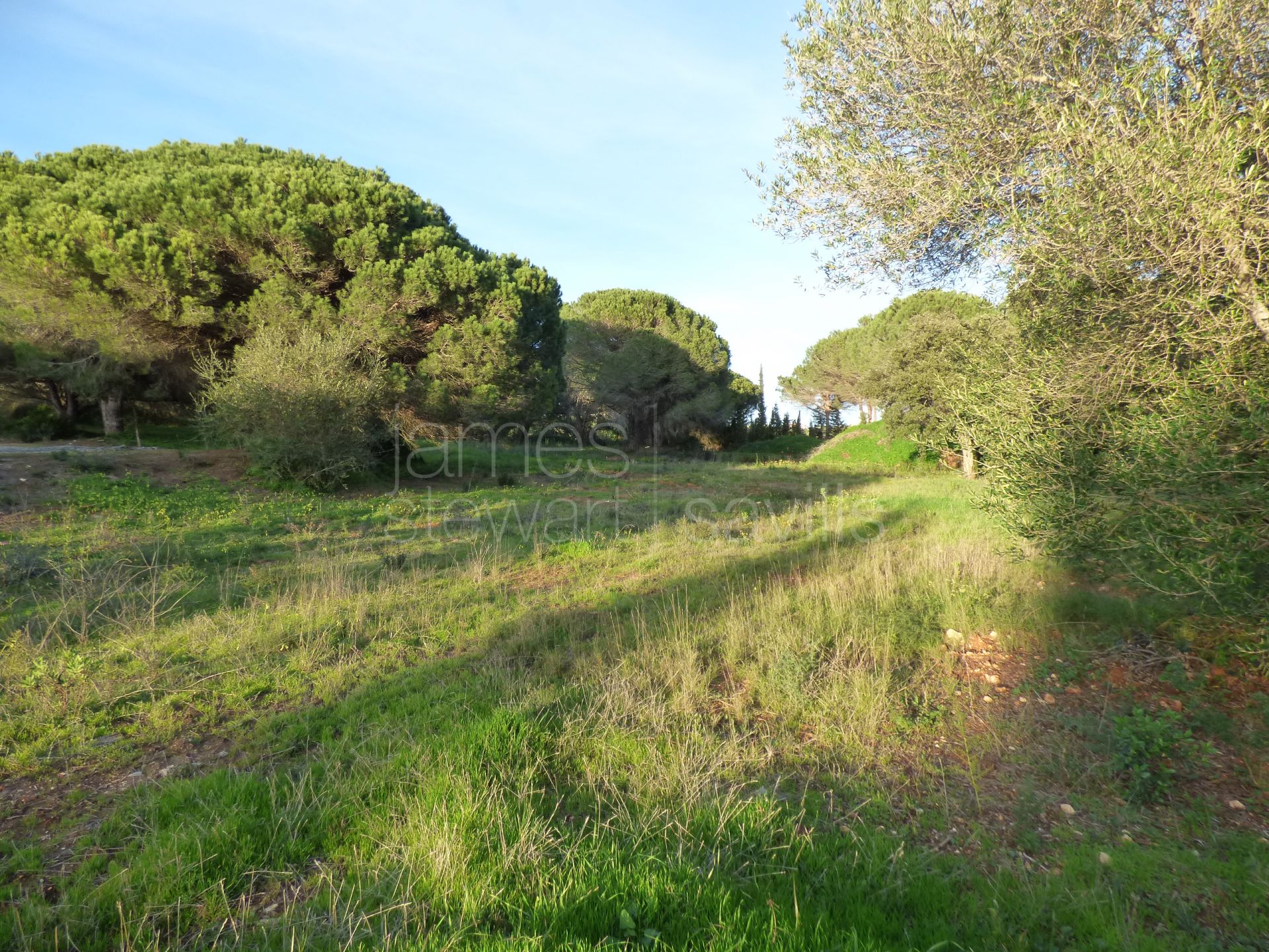 2 parcelas contiguas en cul-de-sac en primera línea del campo de golf Real Valderrama, Sotogrande