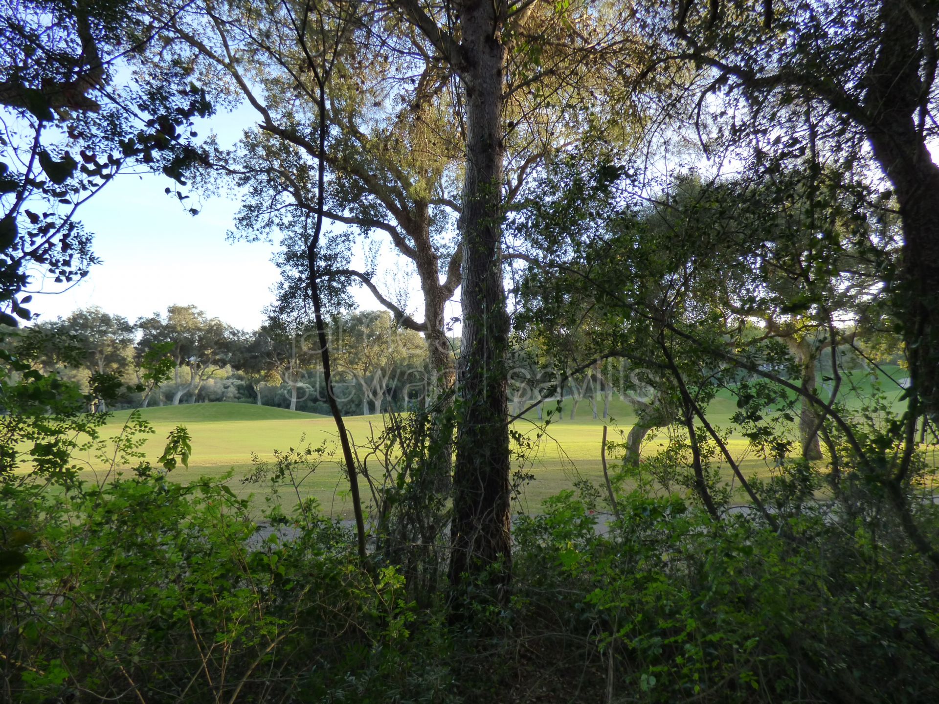 2 parcelas contiguas en cul-de-sac en primera línea del campo de golf Real Valderrama, Sotogrande