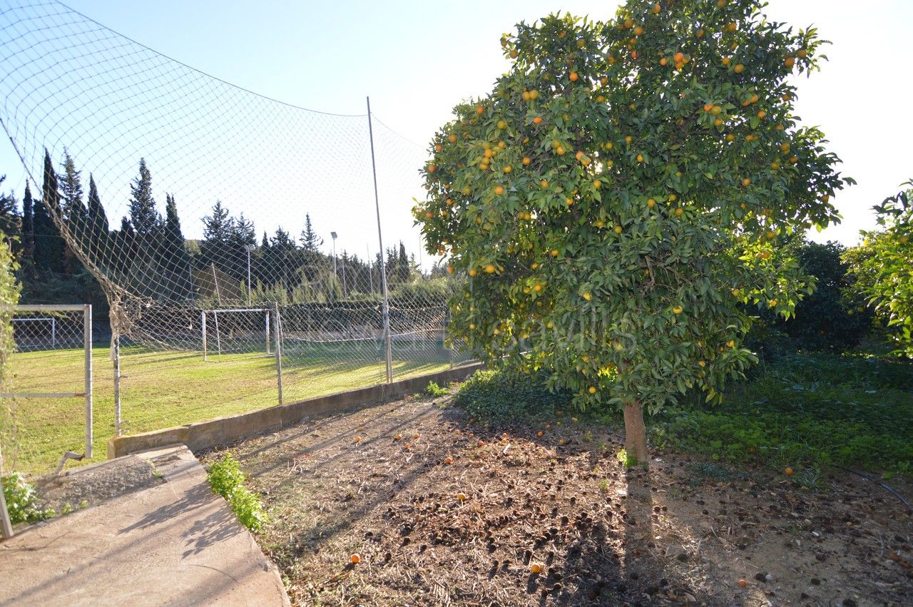 Charming Countryside Home Just 10 Minutes from Sotogrande