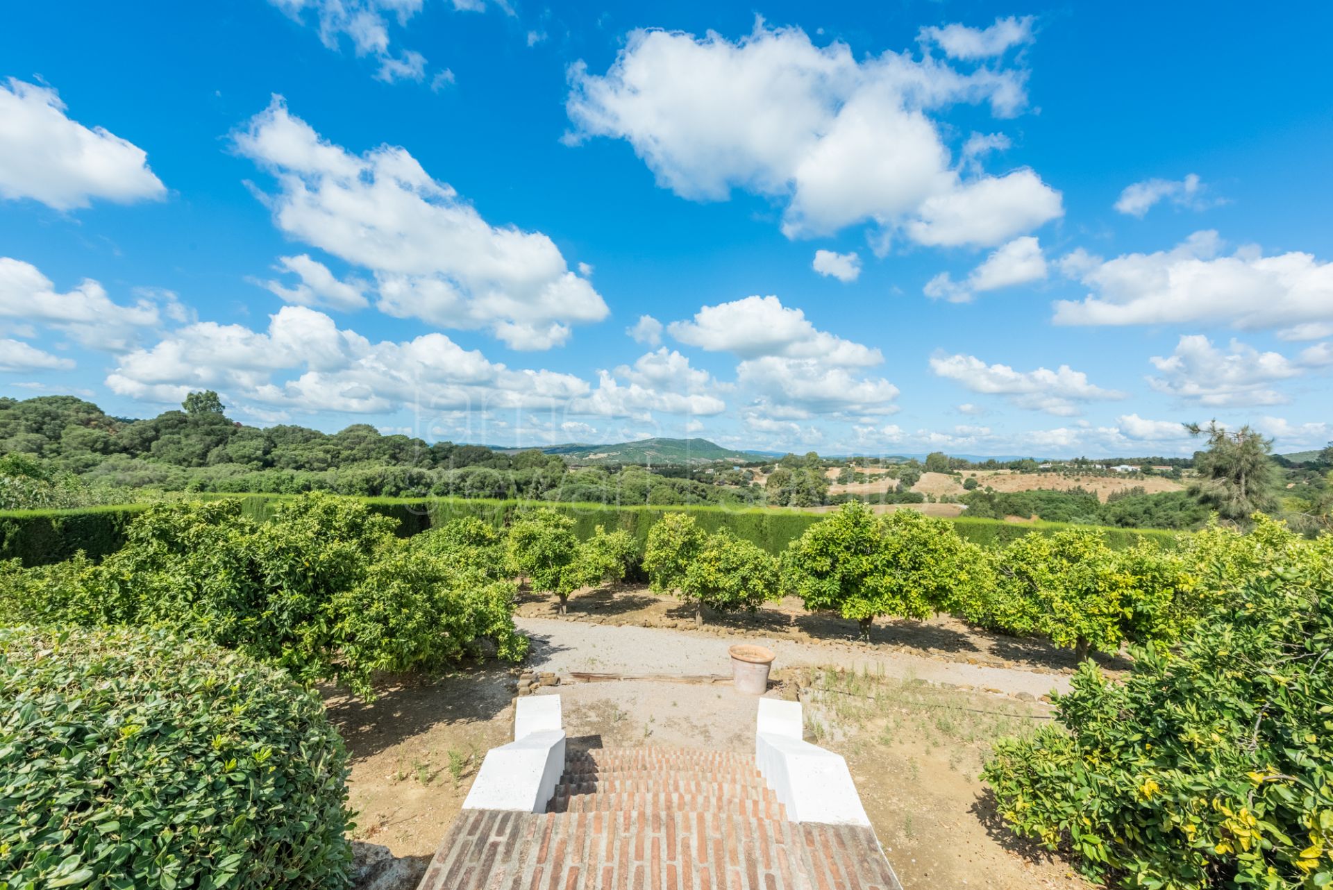 Superb Equestrian Estate Minutes from Sotogrande and the Mediterranean Sea