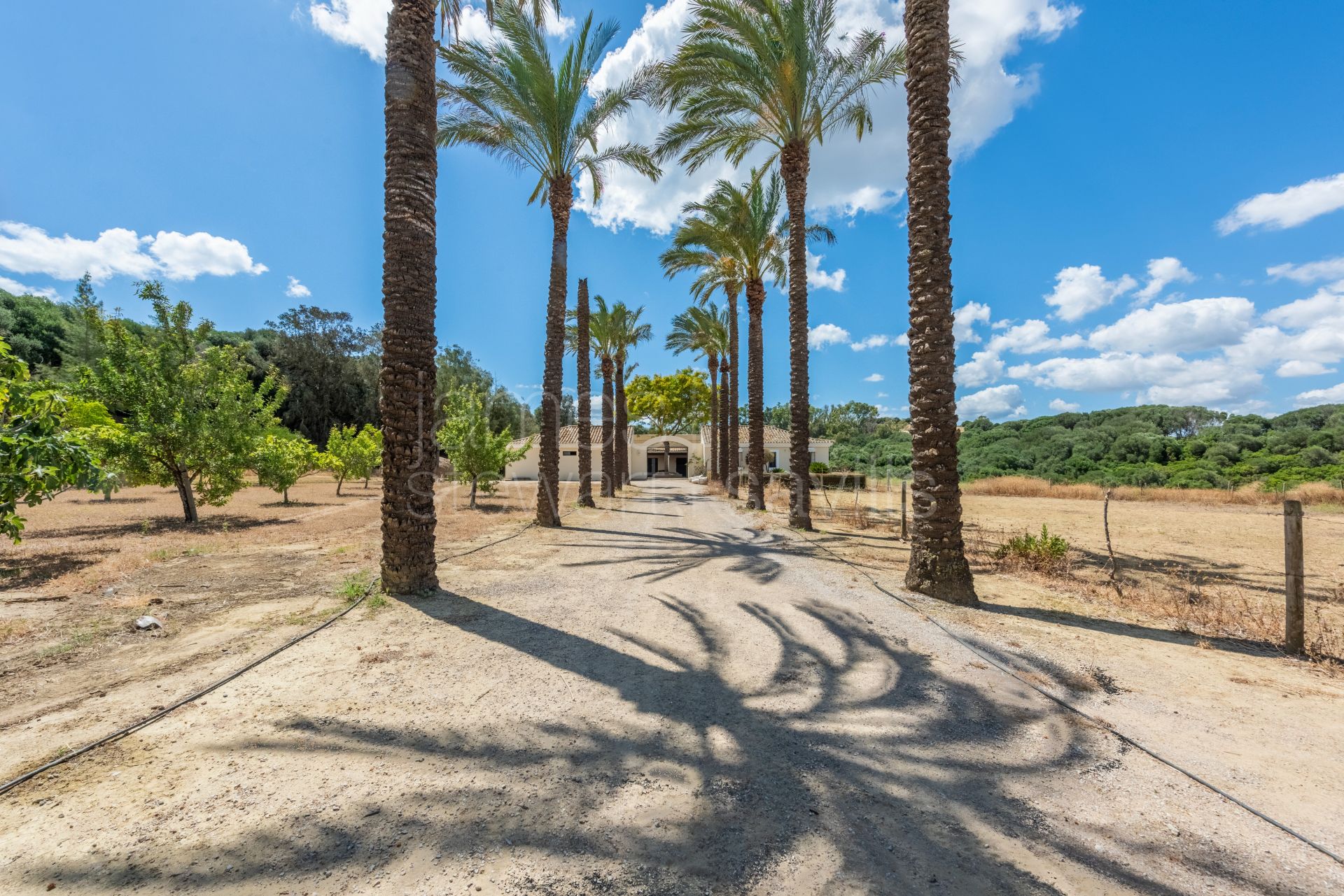 Superb Equestrian Estate Minutes from Sotogrande and the Mediterranean Sea