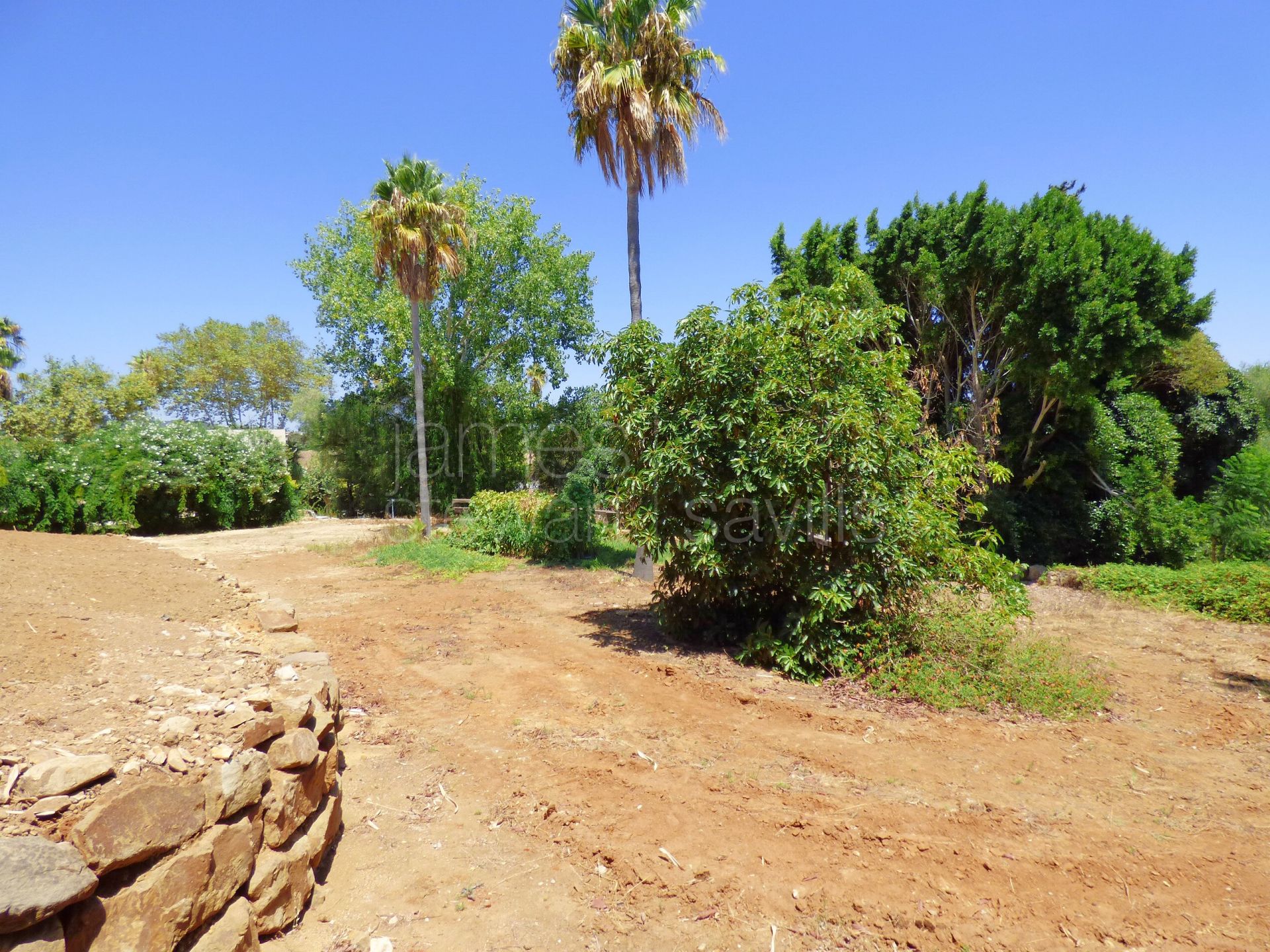 Distinguished Plot in Reyes y Reinas, Sotogrande with Luxury Villa Project