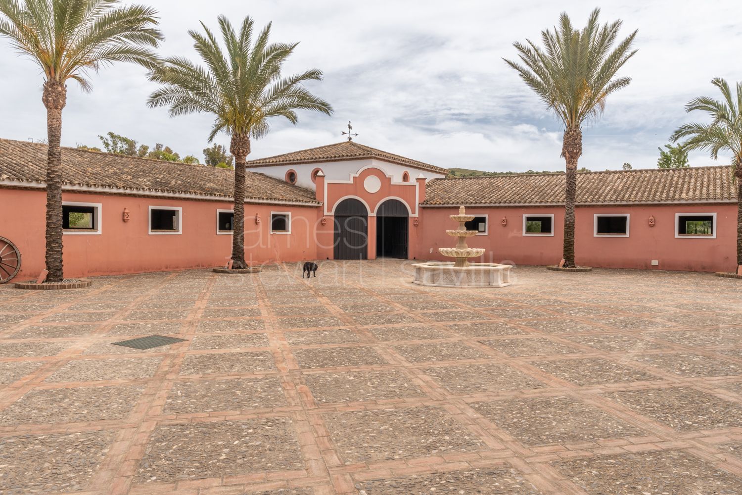 Finca Ecuestre de Alto Nivel en Jimena de la Frontera con 7 Hectáreas y Cuadras para 36 Caballos