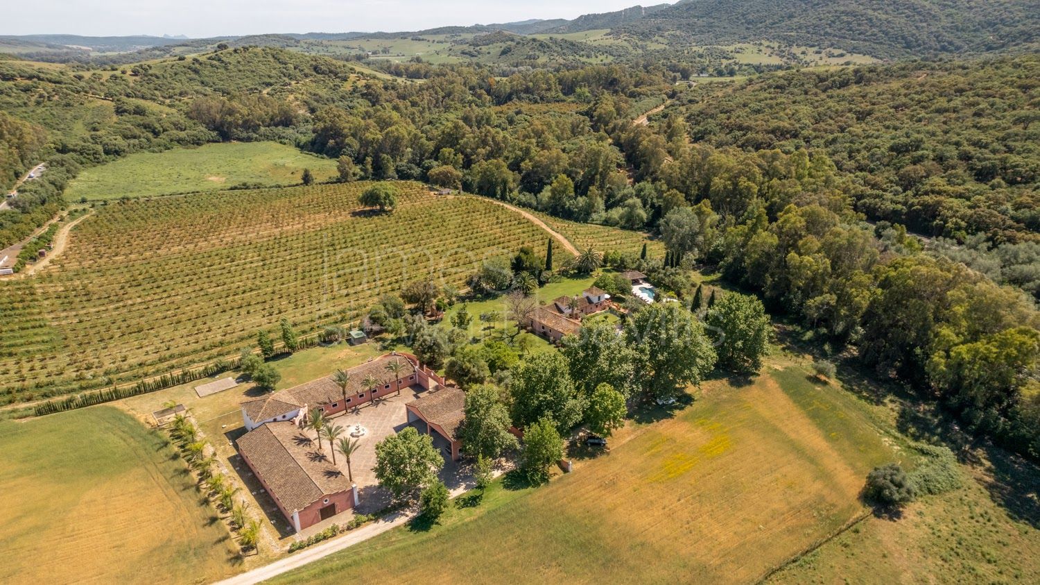 Finca Ecuestre de Alto Nivel en Jimena de la Frontera con 7 Hectáreas y Cuadras para 36 Caballos