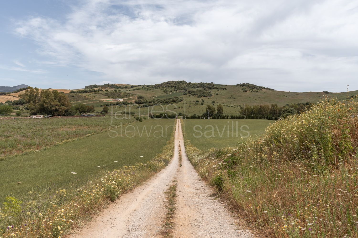 Finca Ecuestre de Alto Nivel en Jimena de la Frontera con 7 Hectáreas y Cuadras para 36 Caballos