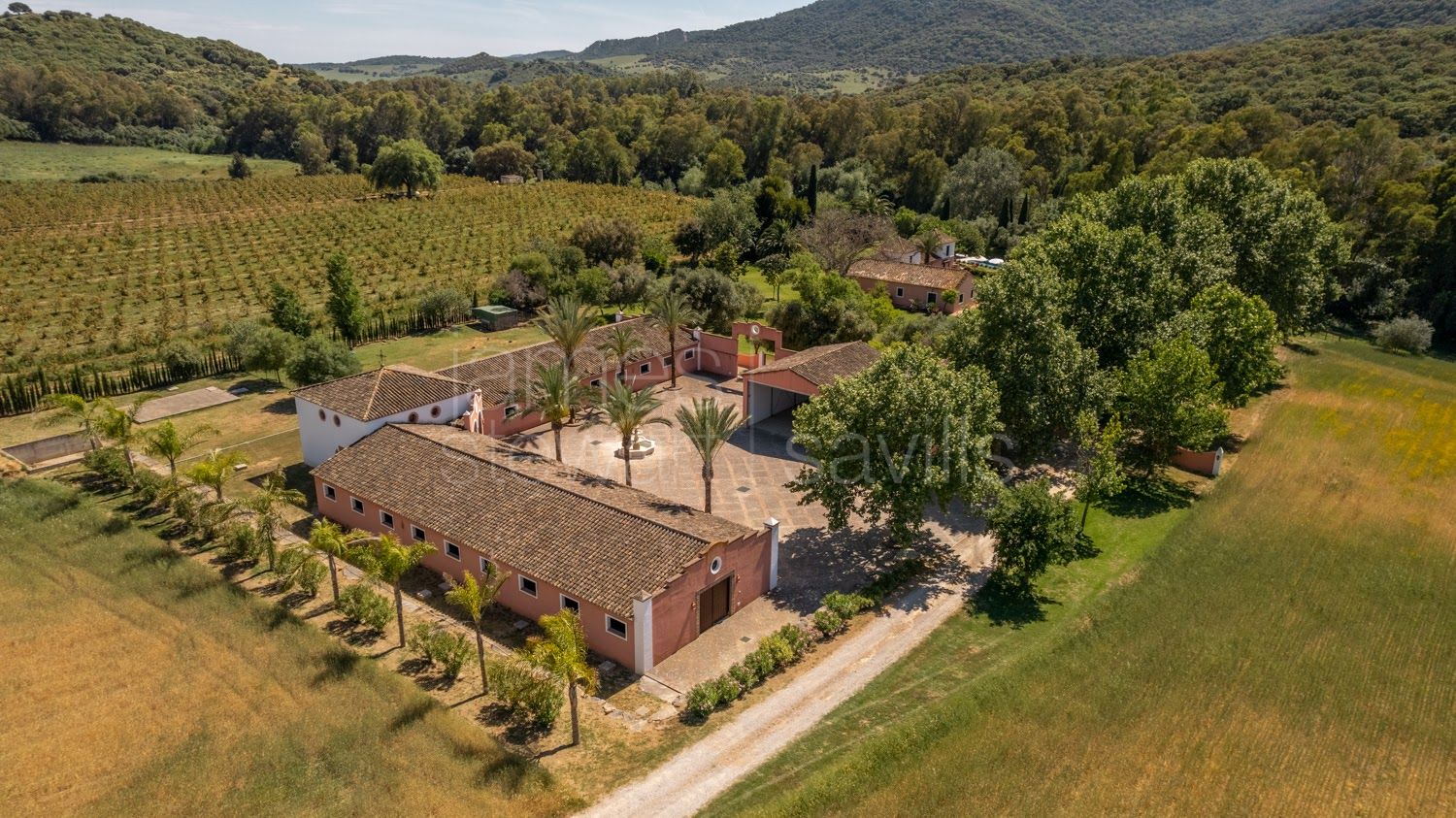 Finca Ecuestre de Alto Nivel en Jimena de la Frontera con 7 Hectáreas y Cuadras para 36 Caballos