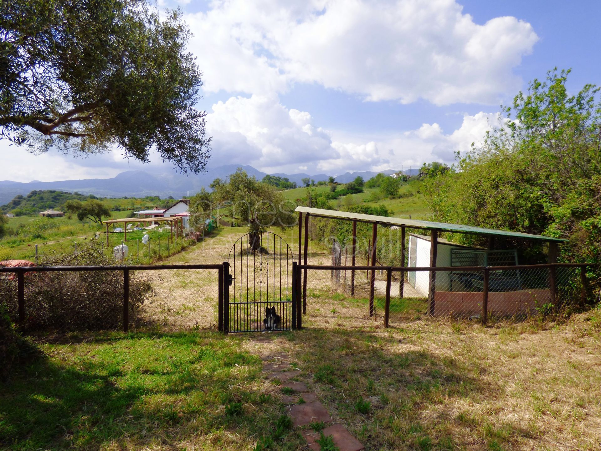 Casa en el campo a 9 km del pueblo blanco de Gaucín