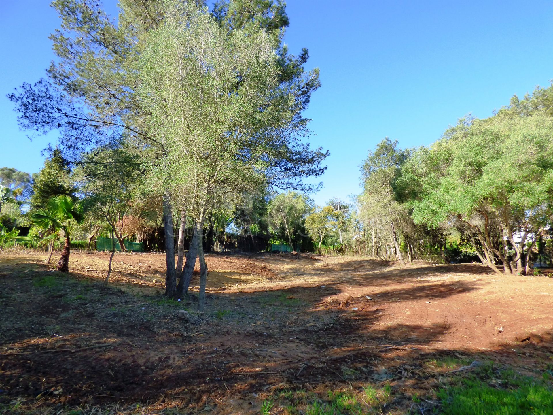 One of few remaining builiding plots in the Kings and Queens area of Sotogrande Costa