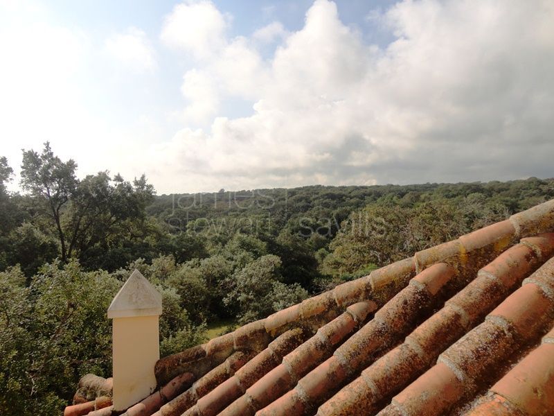 Villa for sale in Sotogrande Costa