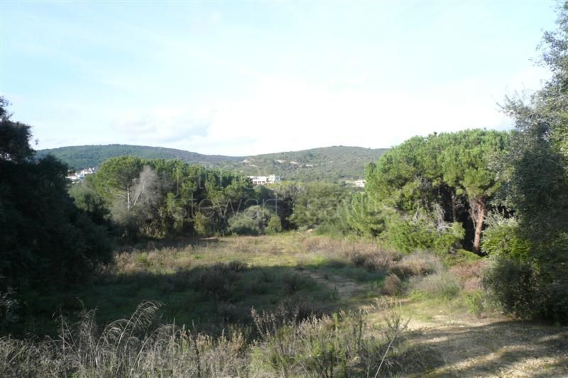 Good large plot in Sotogrande Alto with easy access to the motorway