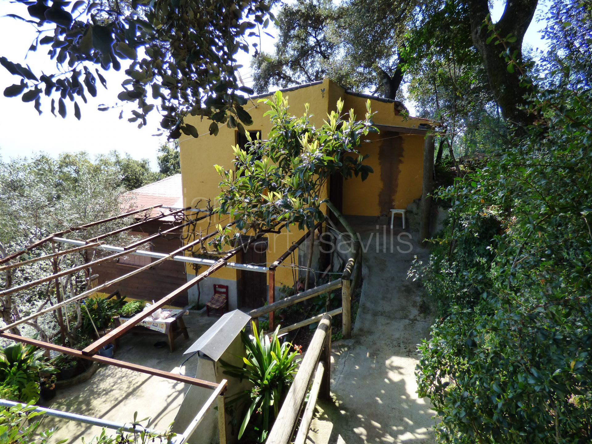 Idyllic Andalucian country retreat en the edge of the village of Algatocin near Gaucin