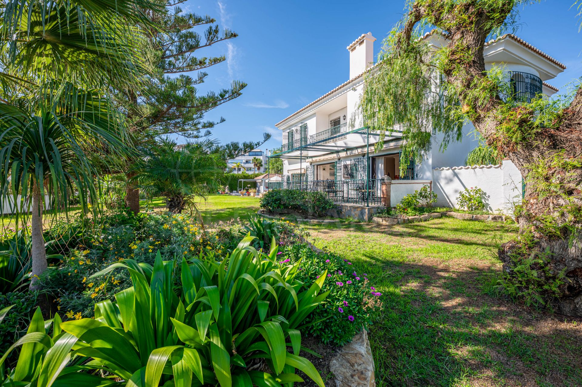 Country House in Los Reales - Sierra Estepona, Estepona