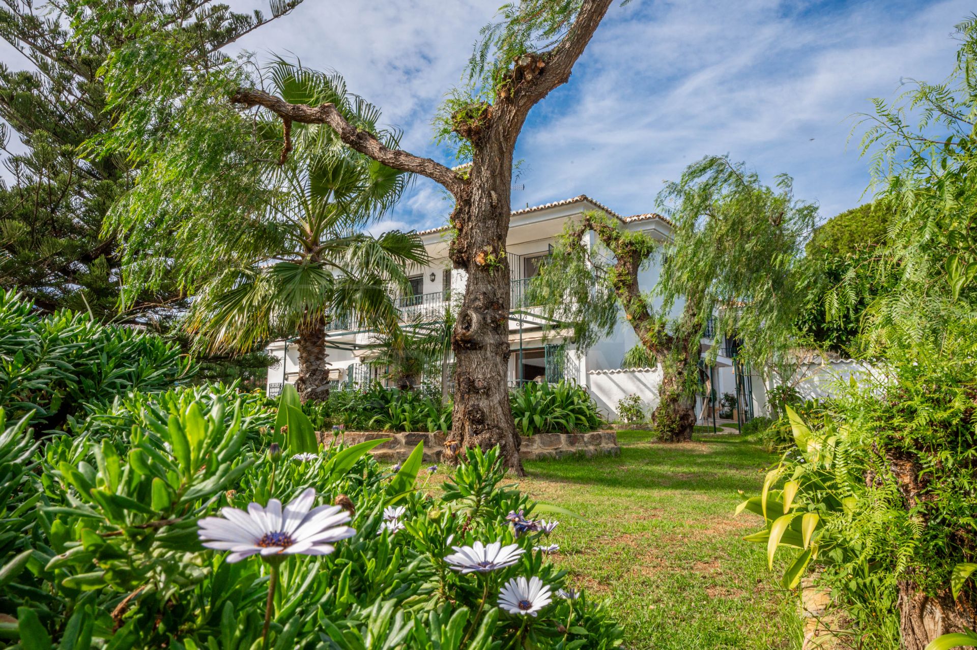 Country House in Los Reales - Sierra Estepona, Estepona