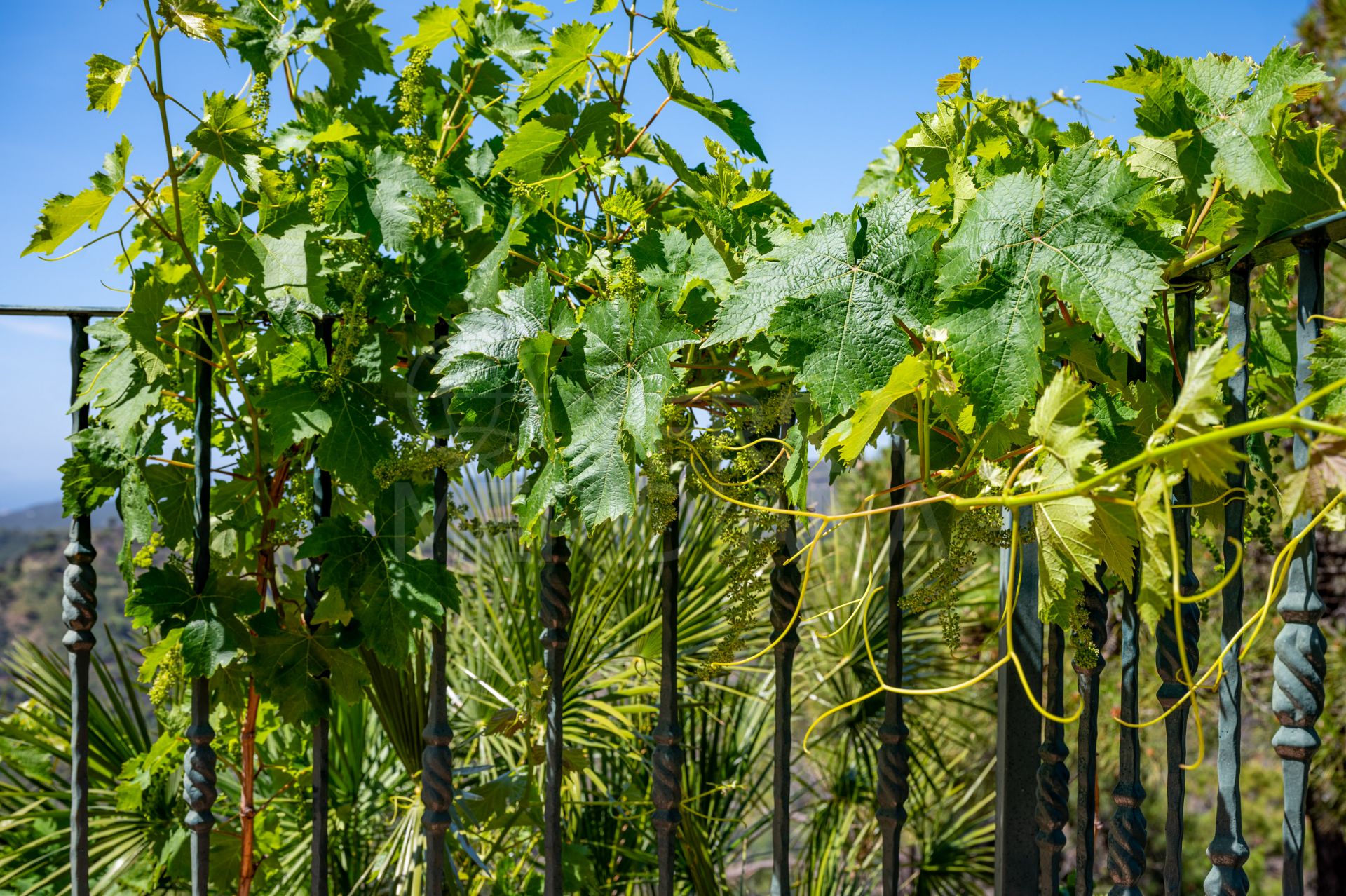 Country House in Estepona